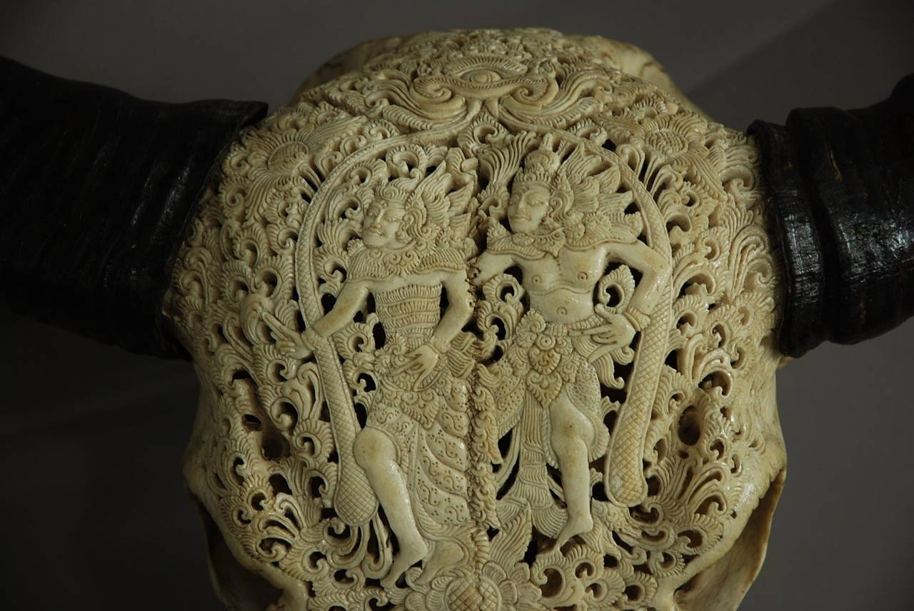 Asian Late 19th Century Carved Buffalo Skull