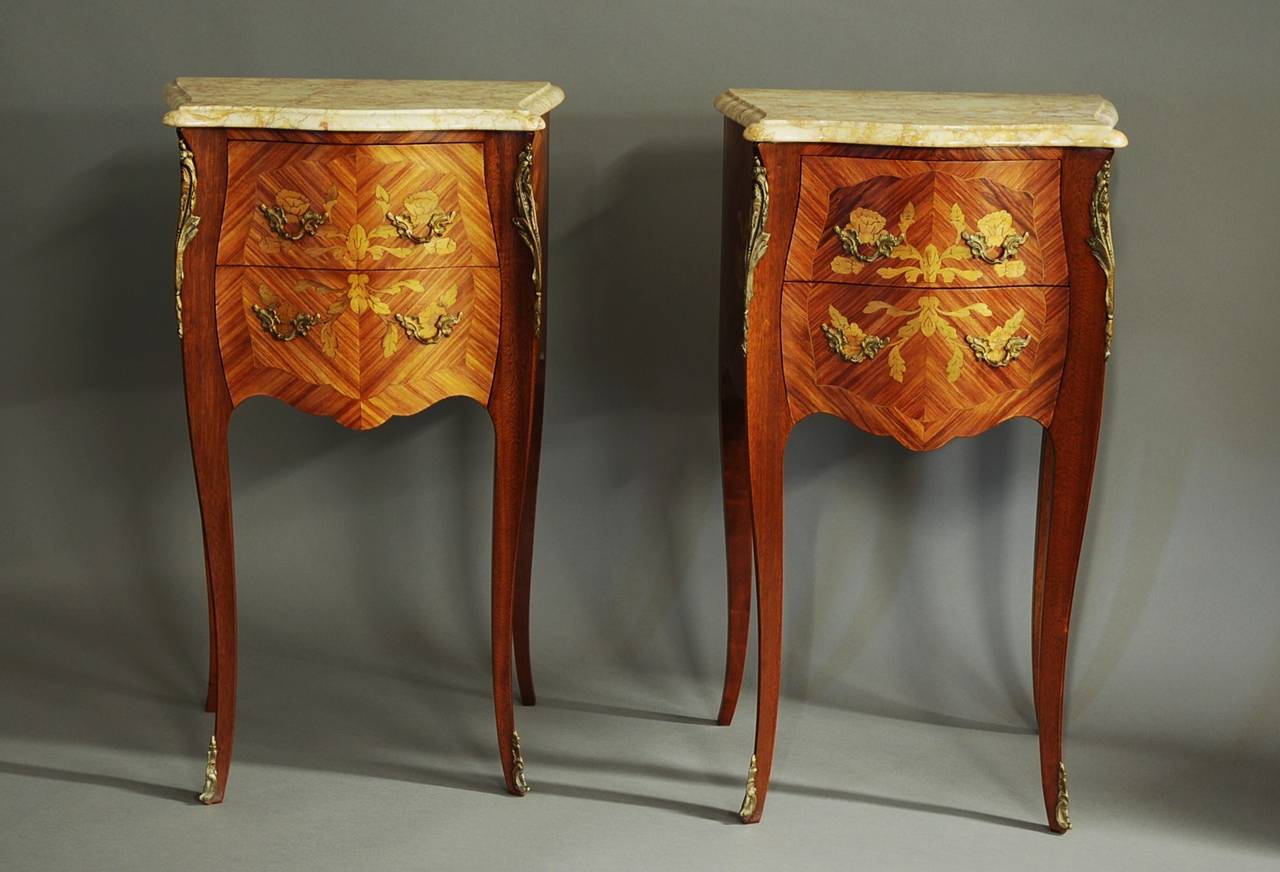 Pair of Early 20th Century Kingwood Bedside Commodes 2