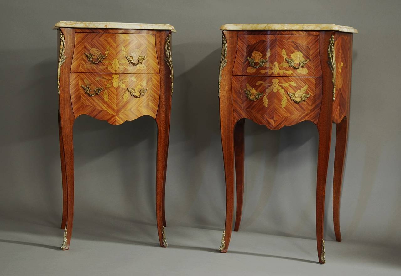 Pair of Early 20th Century Kingwood Bedside Commodes 1