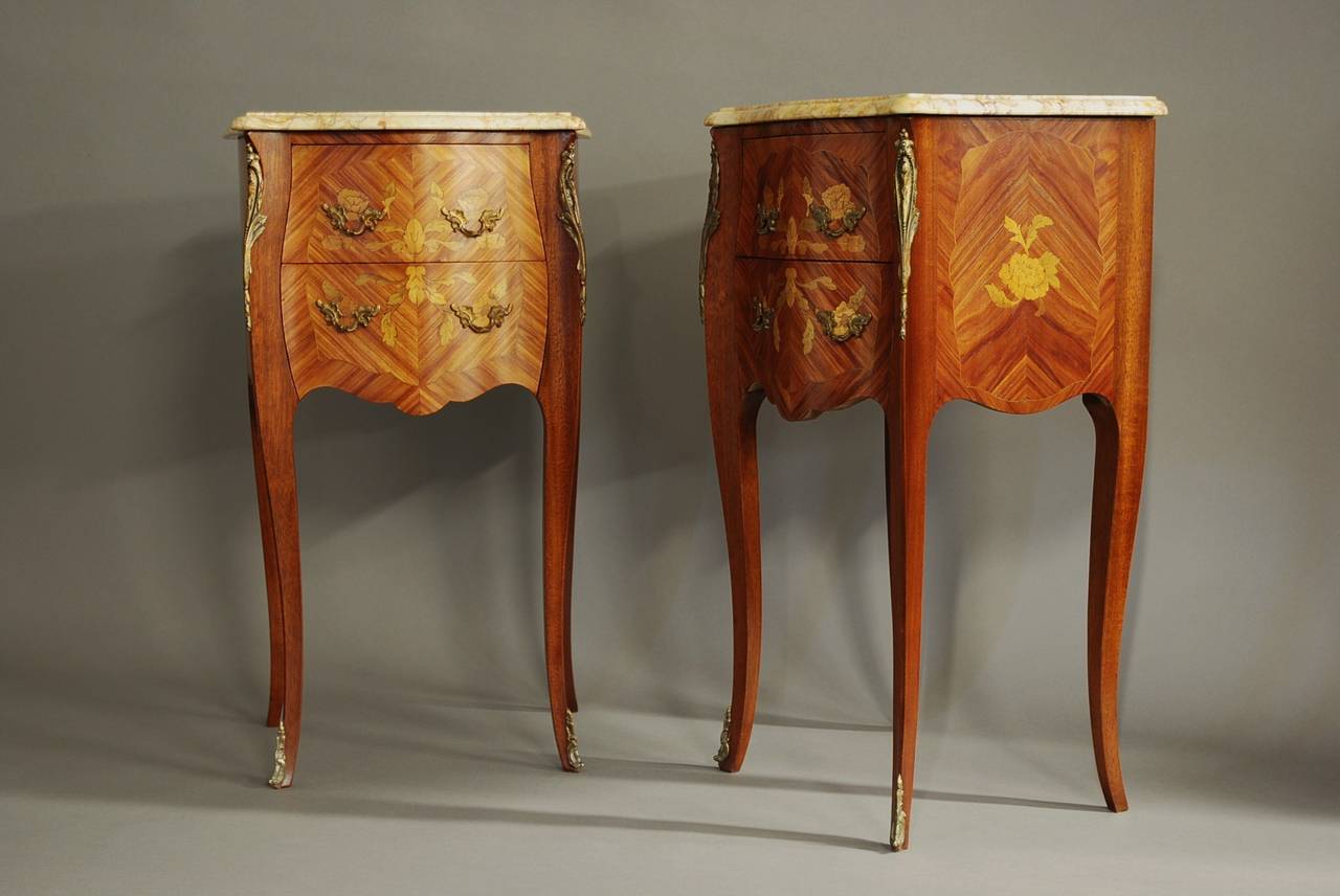 Pair of Early 20th Century Kingwood Bedside Commodes In Excellent Condition In Suffolk, GB