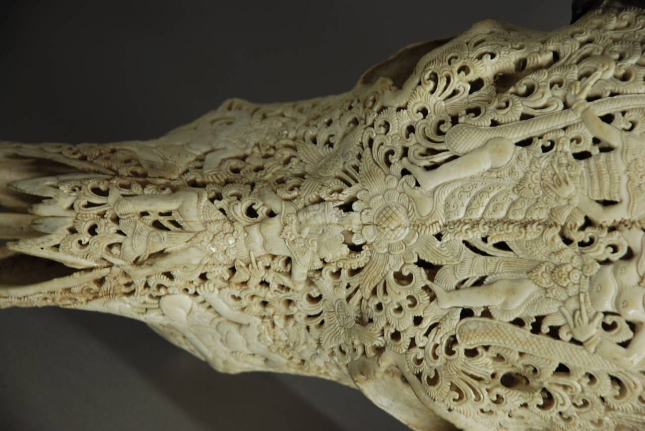 Late 19th Century Carved Buffalo Skull 3