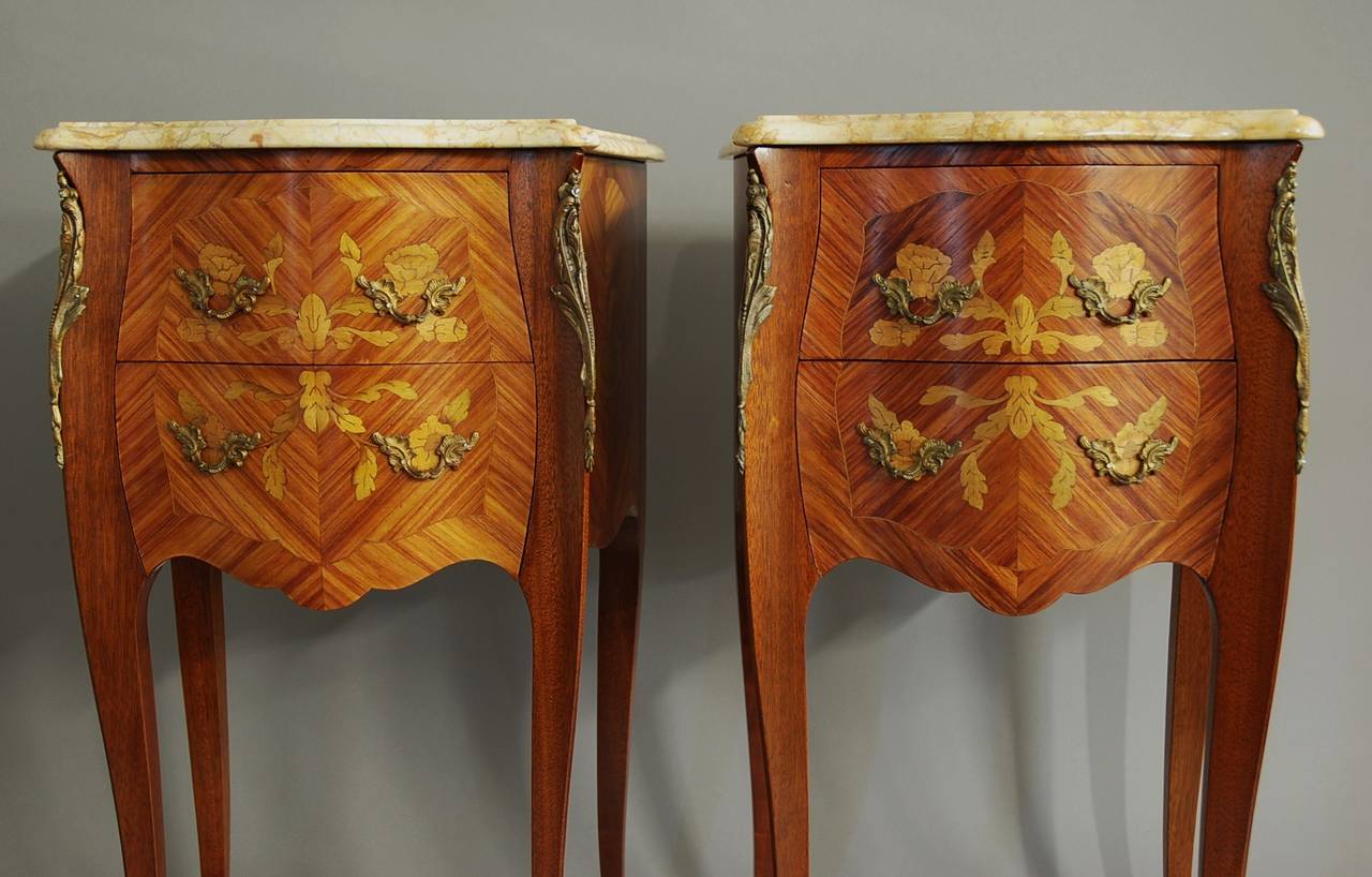 French Pair of Early 20th Century Kingwood Bedside Commodes
