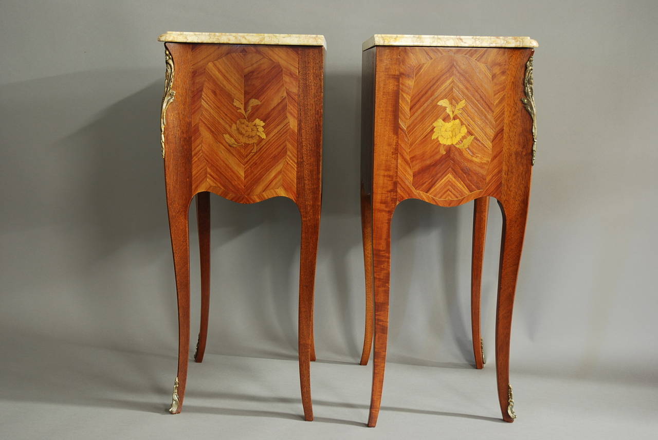 Pair of Early 20th Century Kingwood Bedside Commodes 3