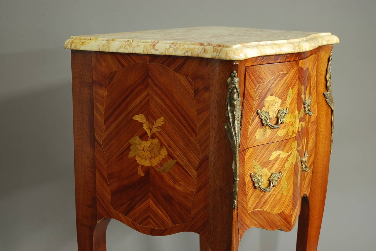 Pair of Early 20th Century Kingwood Bedside Commodes 5