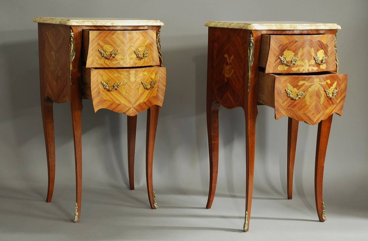 Pair of Early 20th Century Kingwood Bedside Commodes 4