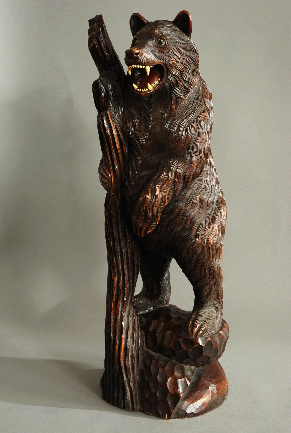 A finely carved wooden Black Forest bear of nice proportions.

The bear is carved with a snarling expression giving him a realistic appearance and he is depicted resting on a branch.

The fur of the bear is nicely carved and the teeth and tongue