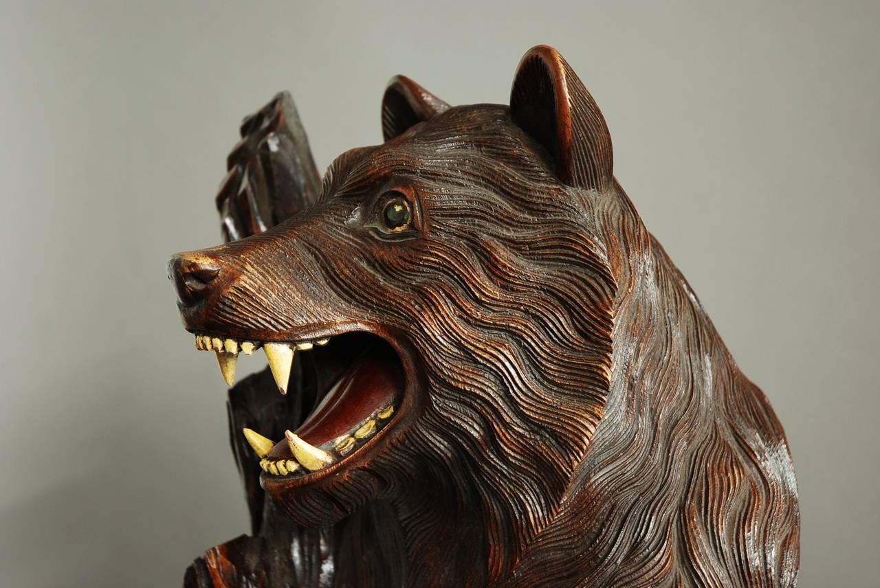 Finely Carved Wooden Black Forest Bear 3
