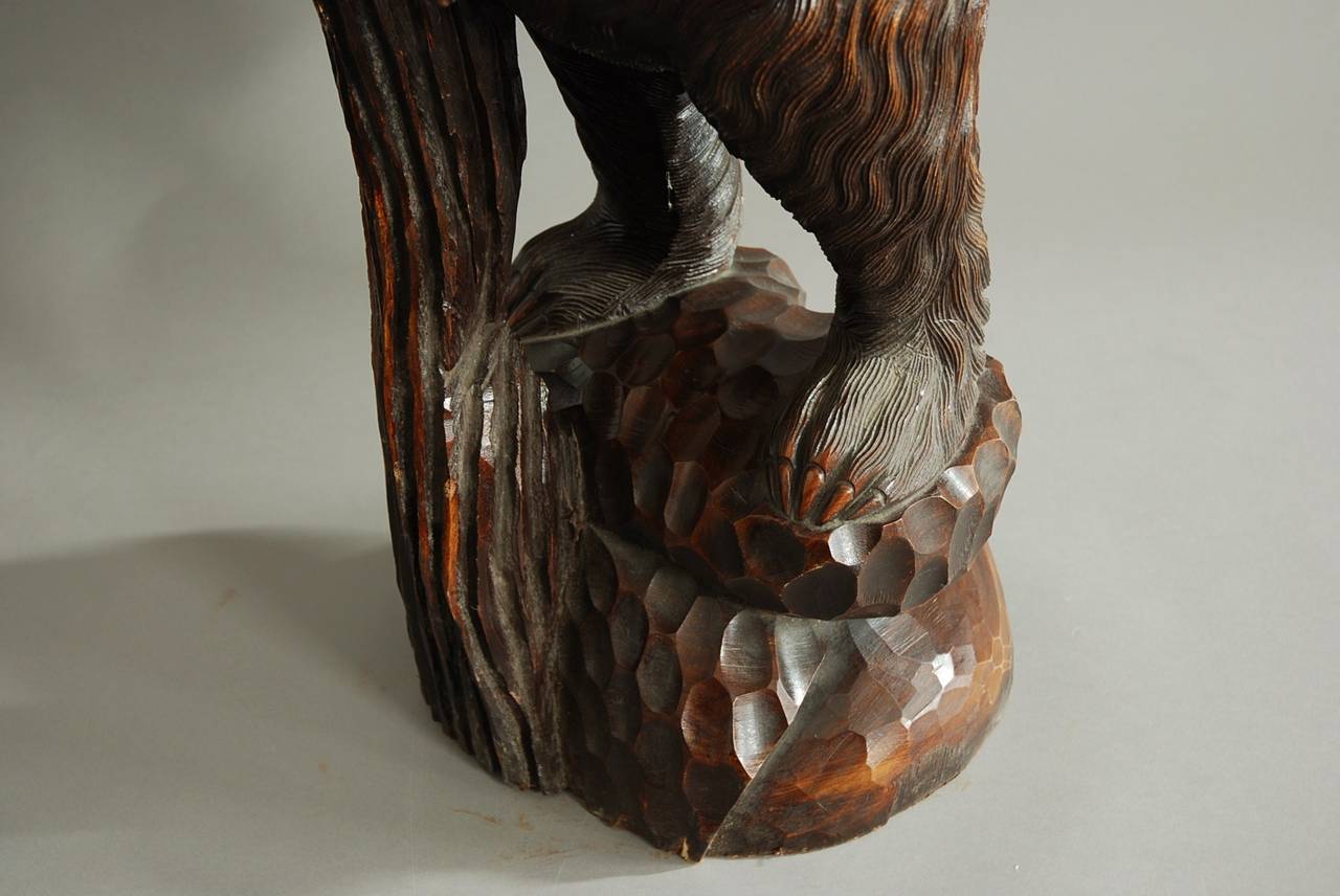 Finely Carved Wooden Black Forest Bear 5