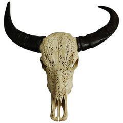 Late 19th Century Carved Buffalo Skull