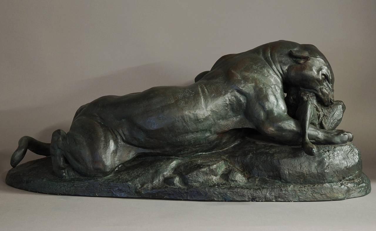 An early 20th century large plaster cast from the bronze figure 'Jaguar devouring a hare' of superb quality, after Barye.

This plaster cast is a large and impressive piece and this this particular subject was one of three of his largest works he