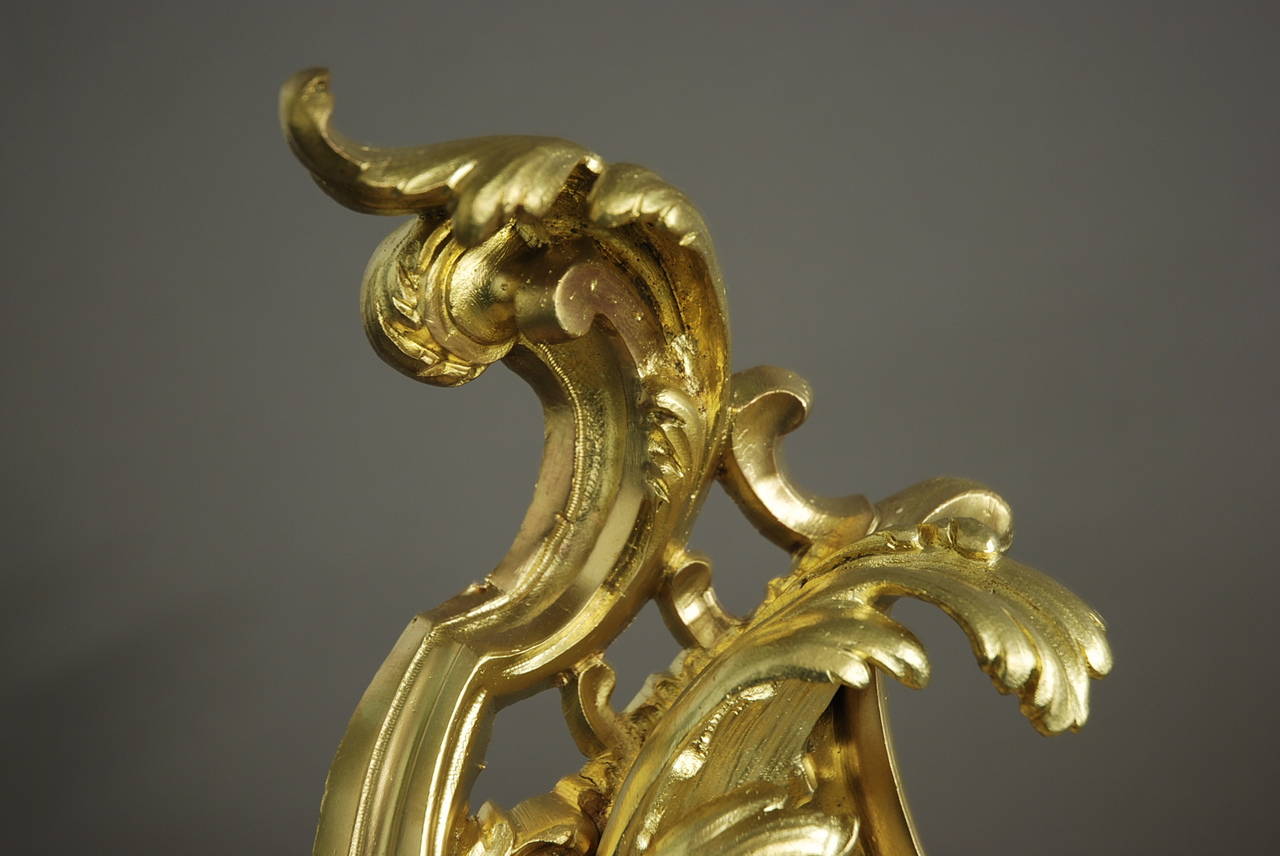 19th Century Pair of Ormolu Chenets in the Rococo Style