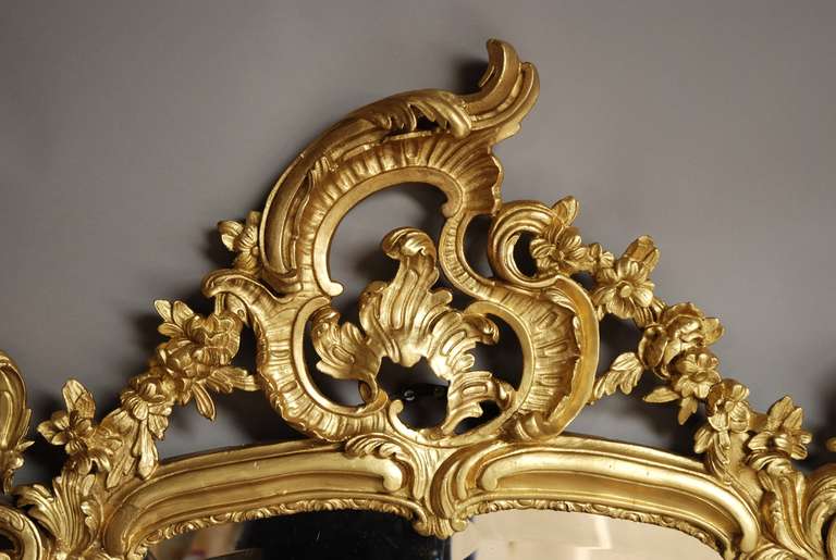 Giltwood 19th Century French Mirror in the Rococo Manner