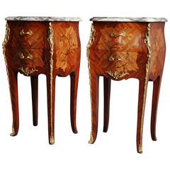 Pair of Early 20th Century Kingwood Bedside Commodes with Marble Tops