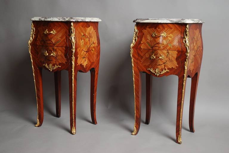 Pair of Early 20th Century Kingwood Bedside Commodes with Marble Tops
