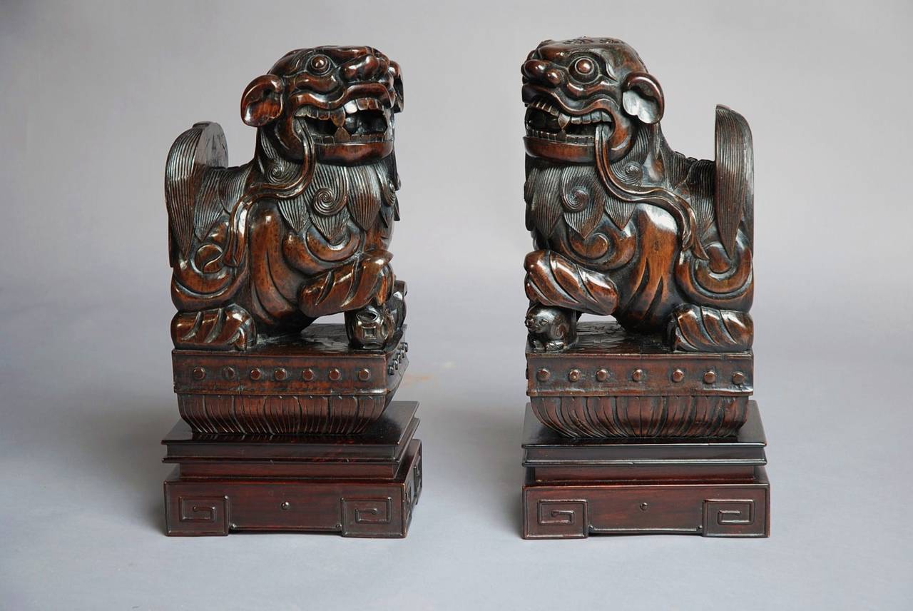 Pair of Chinese Hardwood Fu Lions In Excellent Condition In Suffolk, GB