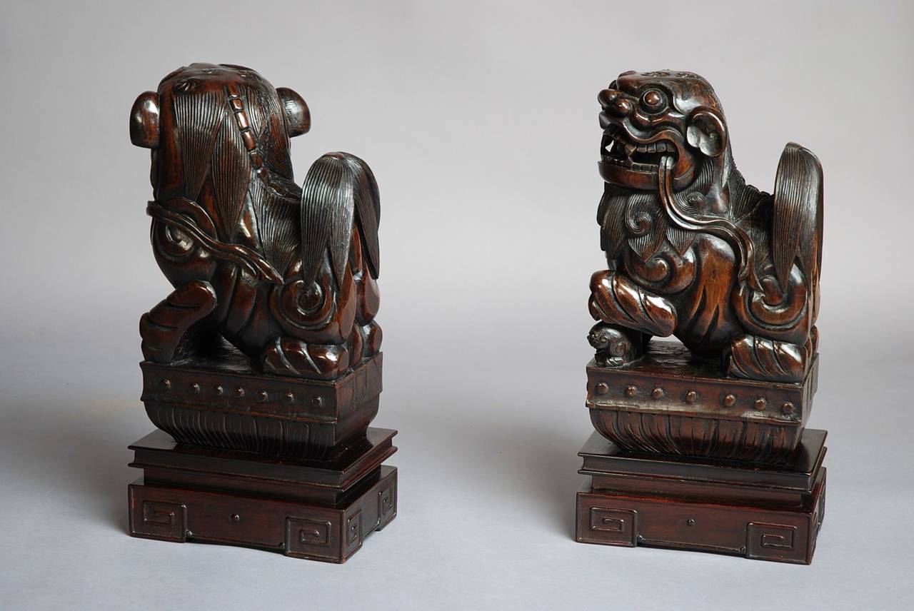 19th Century Pair of Chinese Hardwood Fu Lions