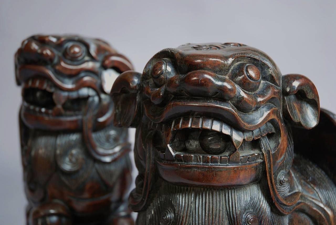 Pair of Chinese Hardwood Fu Lions 5