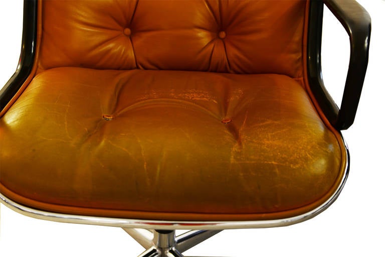 Fiberglass Rare Pollock Chair 