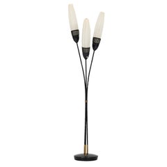 Mid century floor lamp in black lacquered metal probably produced in Sweden