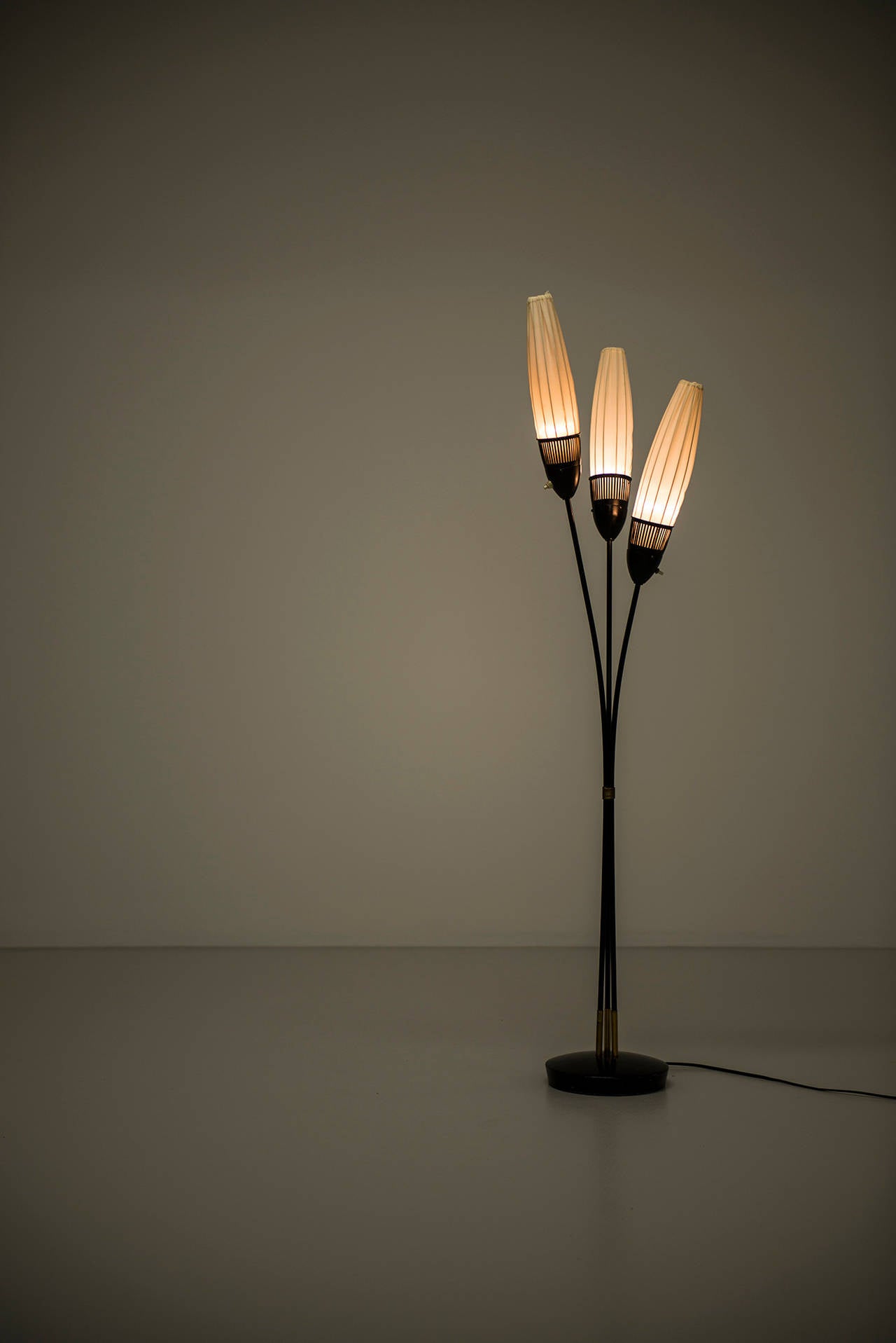 Mid-20th Century Mid century floor lamp in black lacquered metal probably produced in Sweden