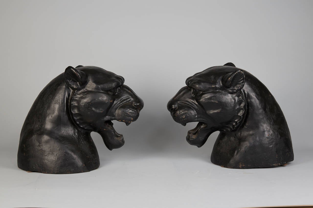 Majestic Pair of heavy Cast Iron Lion Heads.  The Heads are in very good vintage condition.