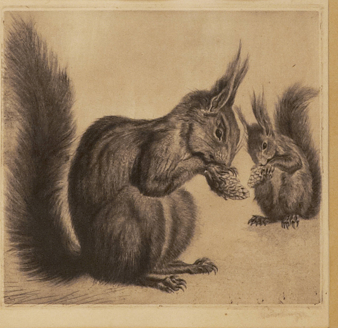 Two Squirrels Etching by Rudolf Pauschinger (German Artist 1882-1957)
signed  original burl wood frame 
Size of frame 31.5 cm x 31.5 cm