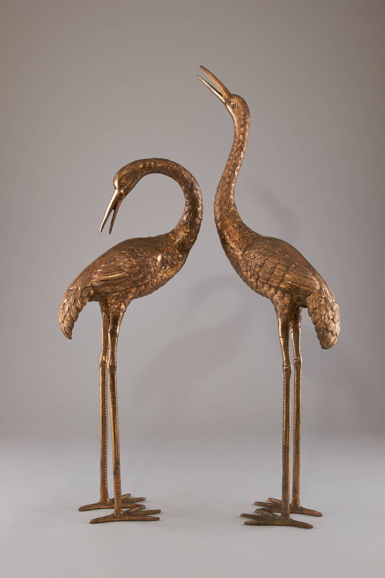 Elegant Pair of Brass Cranes  
One Crane has a Height of  67 cm 
The other one has a Height of 86 cm