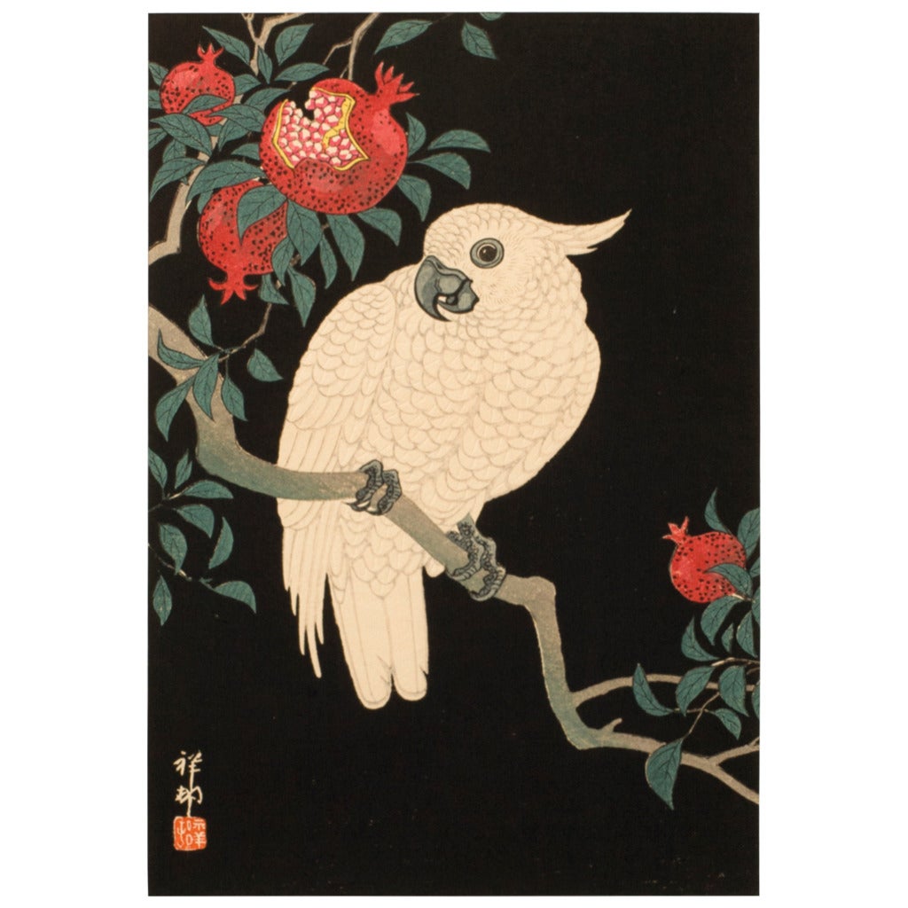Woodblock Print "Pomegranate and Parrot " by Koson Ohara For Sale