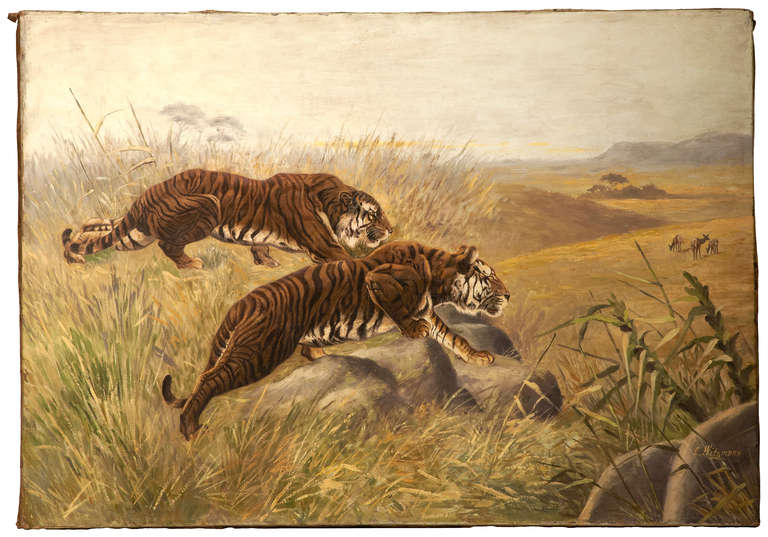 Oil on Canvas, "Two Tigers Hunting"
