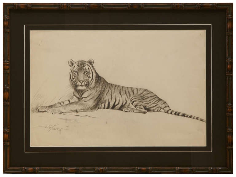 Drawing by Willi Lorenz (1901-1981) German animal and hunting scene painter.
Resting tiger drawing, double paper mat, frame in faux bamboo.