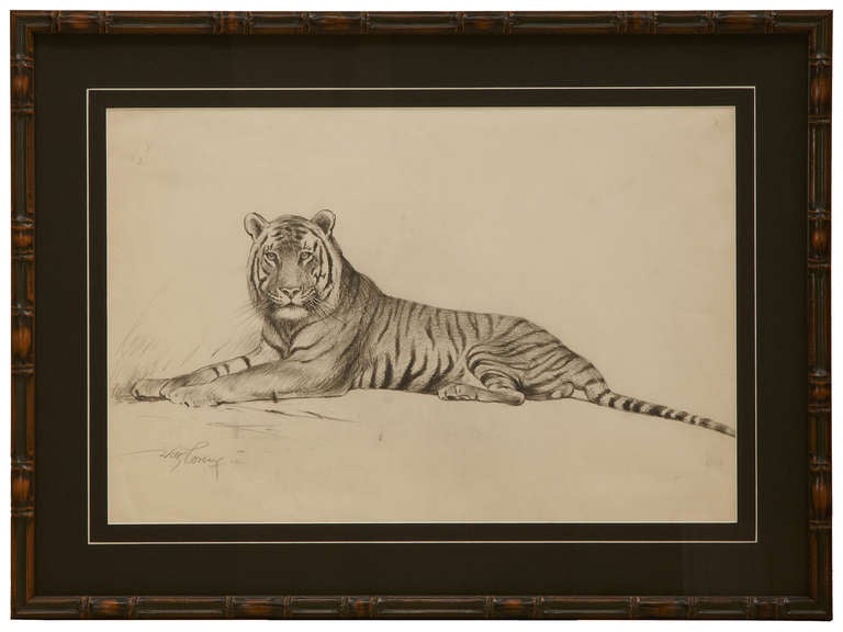 Drawing "Resting Tiger" by Willi Lorenz