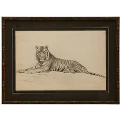Drawing "Resting Tiger" by Willi Lorenz
