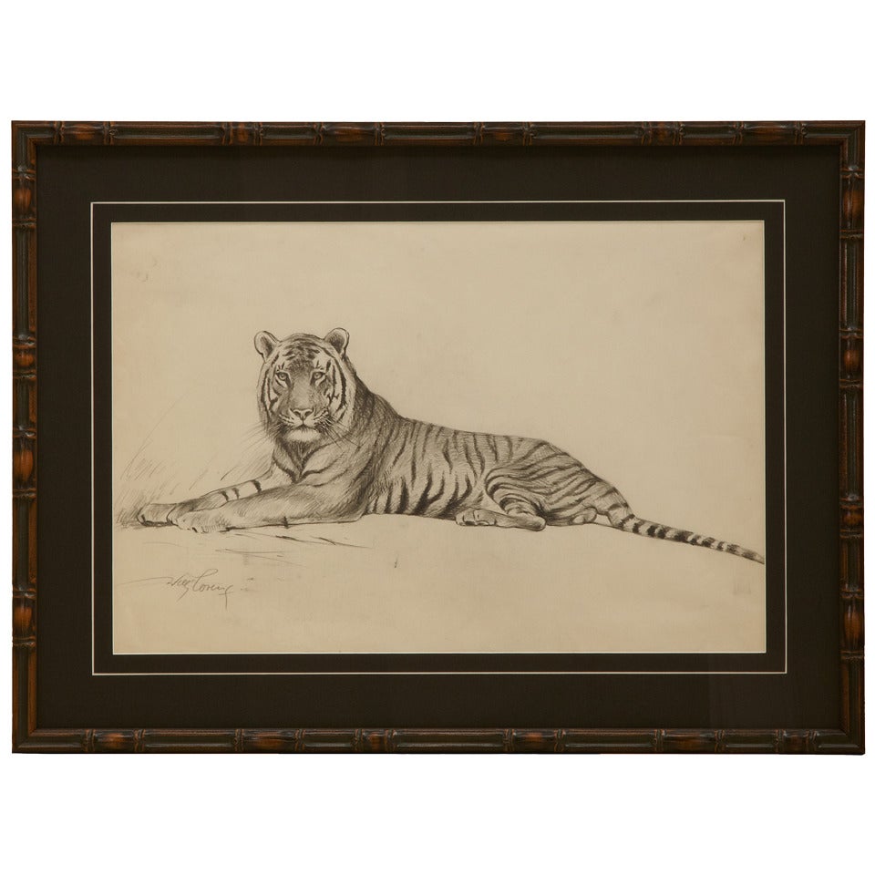 Drawing "Resting Tiger" by Willi Lorenz For Sale