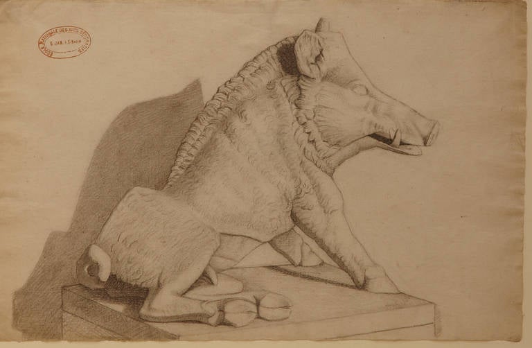 Drawing of a Wild Boar, circa 1890s