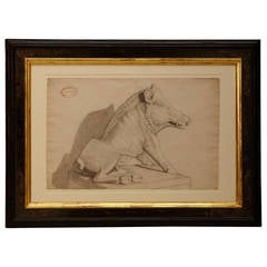 Drawing of a Wild Boar, circa 1890s