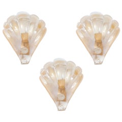 Set of Shell Sconces in Blown Murano Gold Glass 1960s Italy
