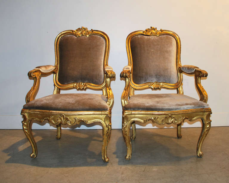 Pair of gilded arm chairs upholstered in taupe silk velvet.  In some lighting the silk fabric has a lavender tone.  Back panel panel pops out.