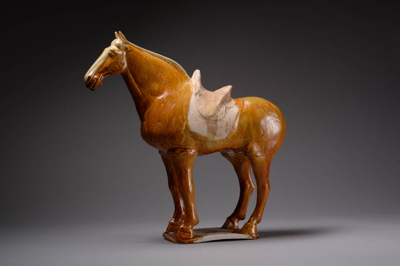 Glazed Ancient Chinese Tang Dynasty Pottery Standing Horse, 618 AD