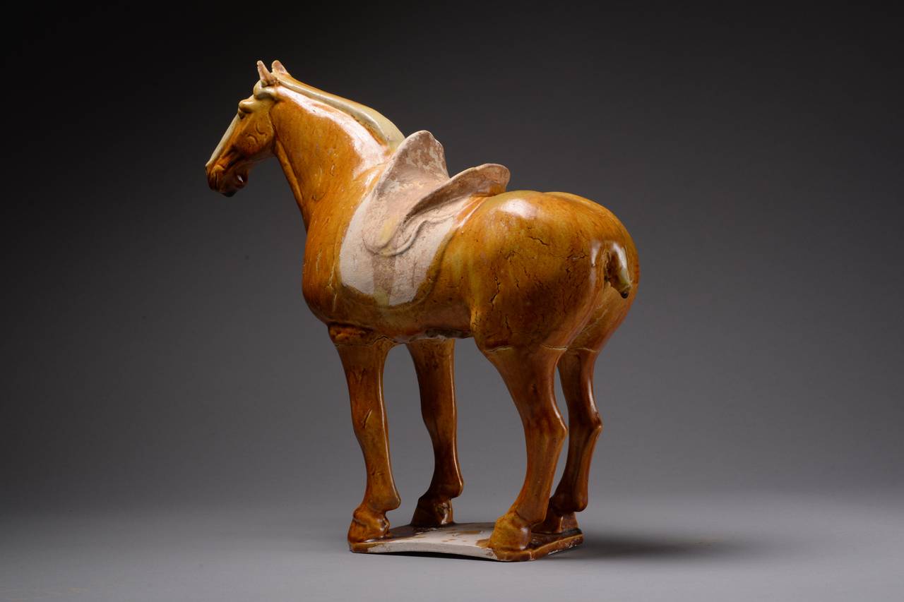Ancient Chinese Tang Dynasty Pottery Standing Horse, 618 AD In Excellent Condition In London, GB