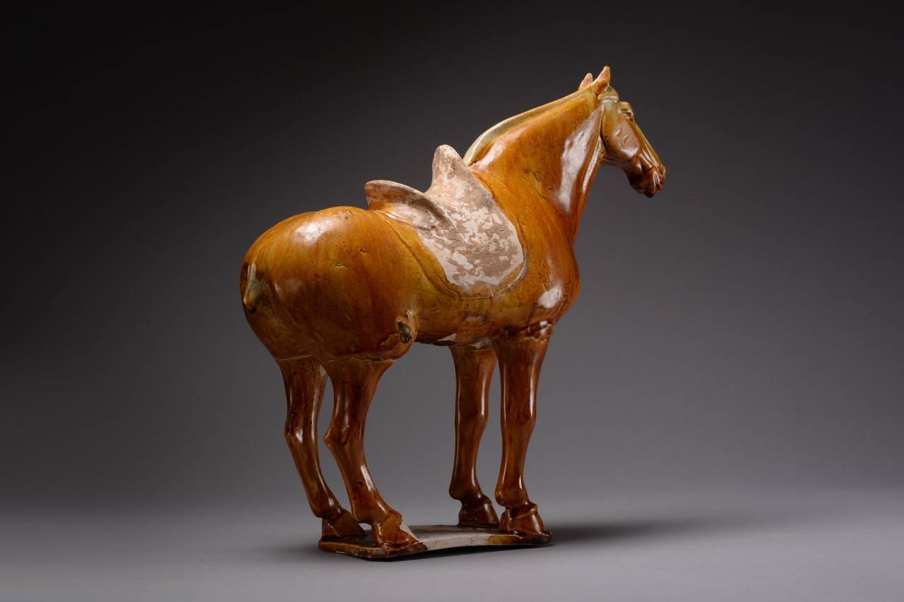 A superb, unrestored example of an ancient Chinese amber glazed pottery horse, among the most iconic of all ancient Chinese ceramics, dating to the Tang Dynasty, 618-906 AD.

Standing on an integral base, the animal a vibrant picture of poised