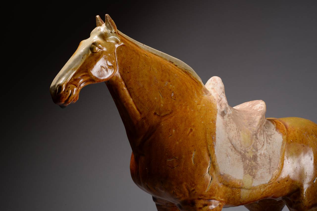 18th Century and Earlier Ancient Chinese Tang Dynasty Pottery Standing Horse, 618 AD