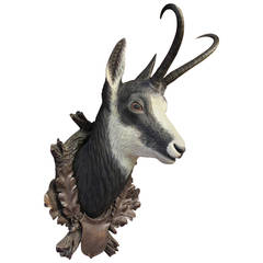 Carved Black Forest Chamois Head
