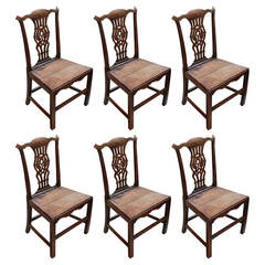 Original Chippendale Chairs, Set of Six