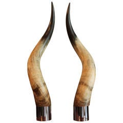 Pair of Mounted Ankole Watusi Horns