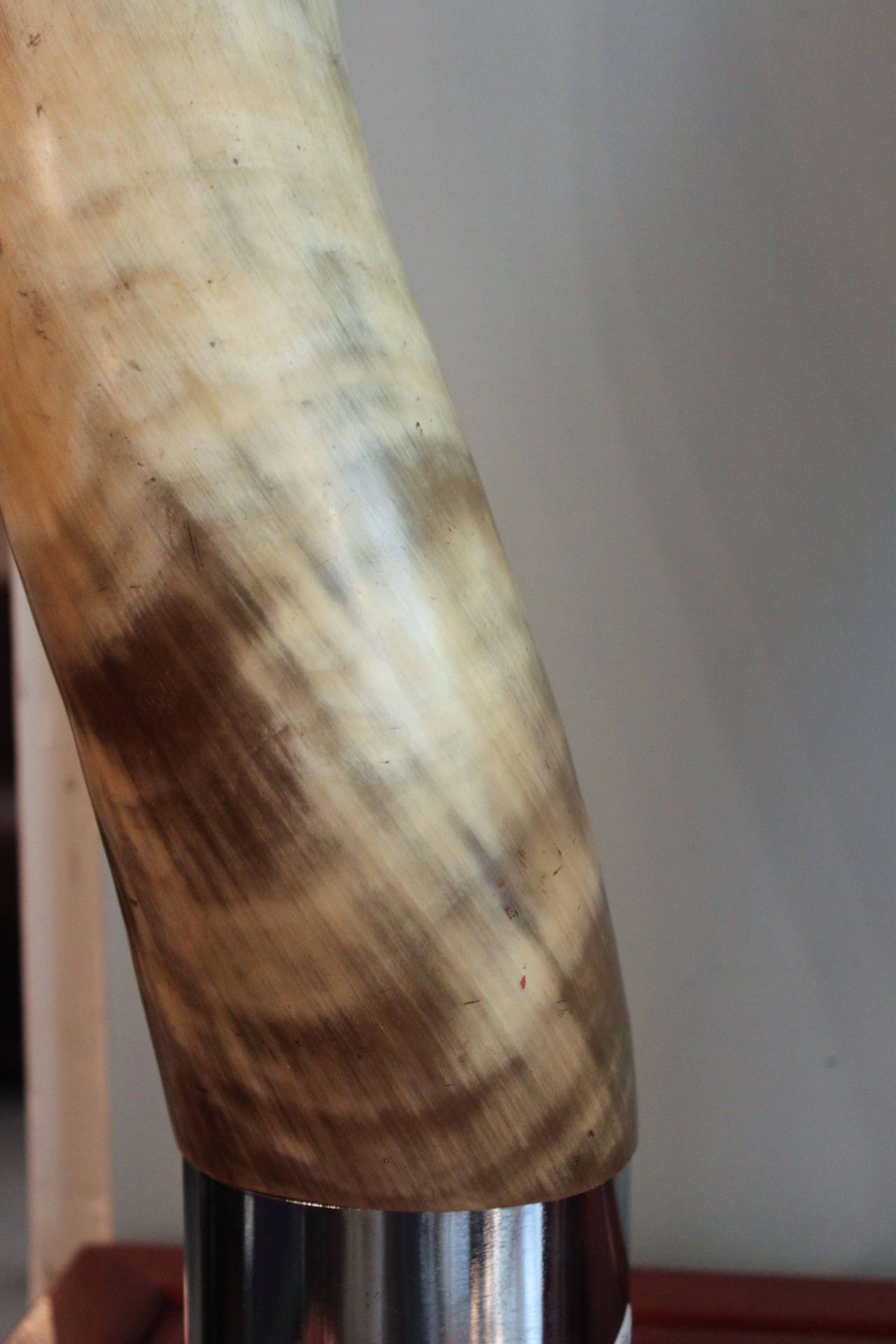 Pair of Mounted Ankole Watusi Horns at 1stDibs ankole watusi horns for sale, ankole horns for