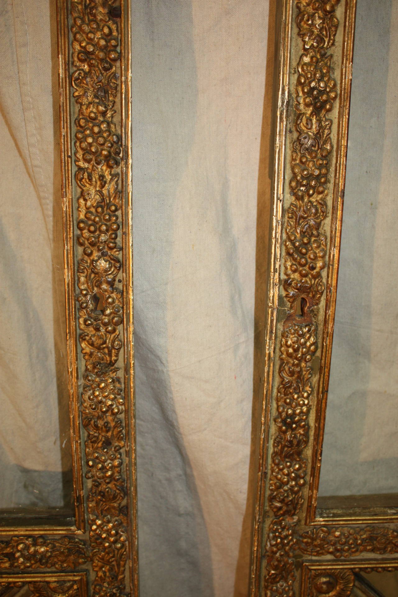 Pair of 19th Century French Doors 1