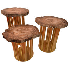 Pedestal tables in brass and fossilized (petrified) wood
