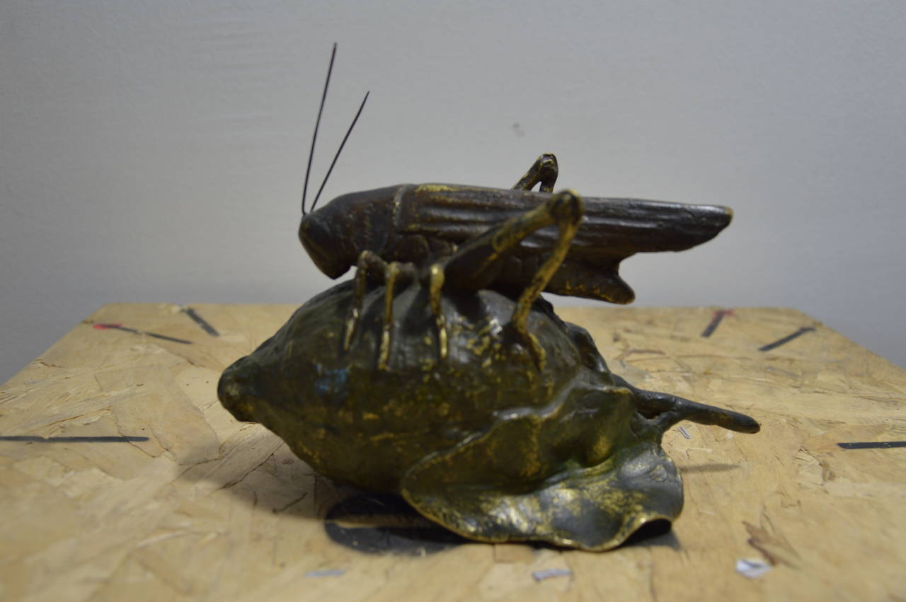 Sculture In Bronze Representing a Grasshopper or Locust on a Lemon For Sale 1