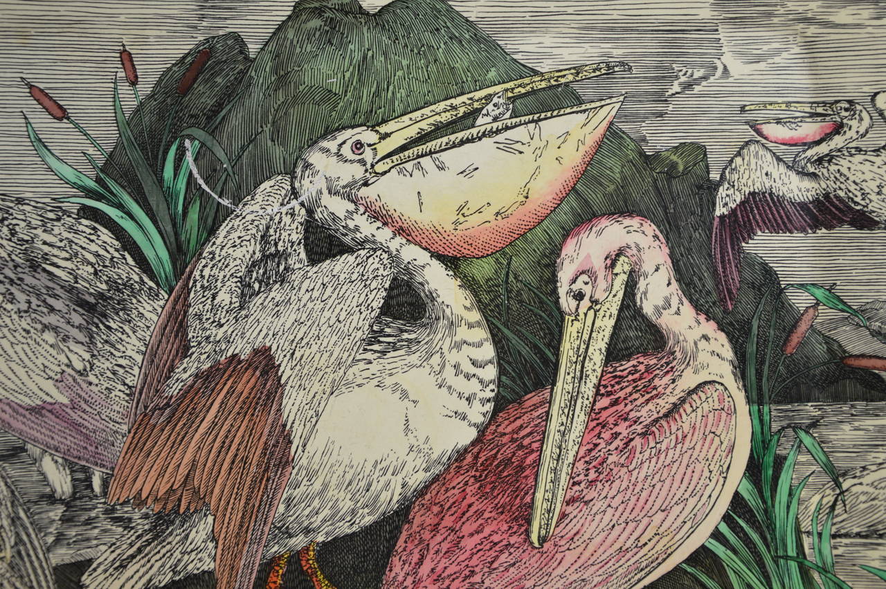 Fornasetti Tray with Motives of Wading Birds