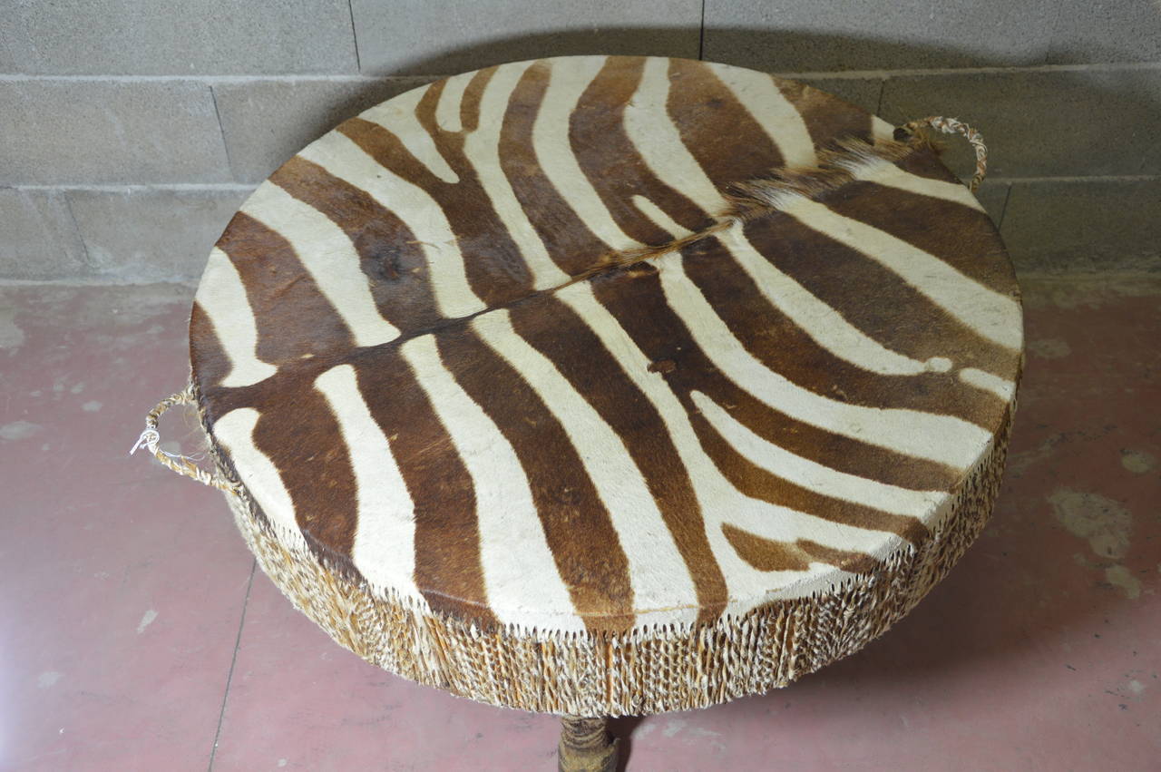 Circle drum of Cofee Table with handles : structure in wood, leather of Zebra and feet of Zebra. 
Measures :  H : 56  Diameter : 88cm  H of the feet : 15cm 
Circa 1940